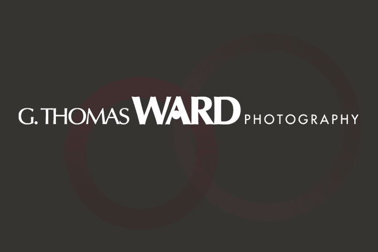 Photography Brand screenshot 2