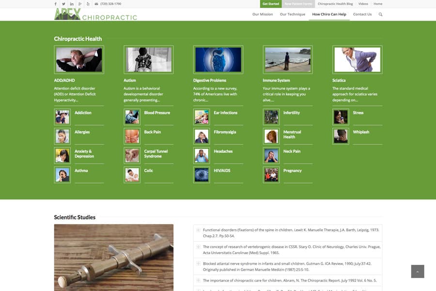 Chiropractor Website screenshot 4